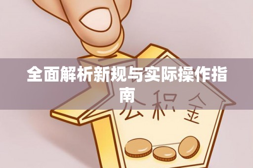 岭东全面解析新规与实际操作指南