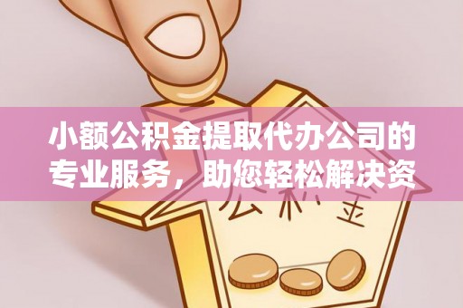 岭东小额公积金提取代办公司的专业服务，助您轻松解决资金难题