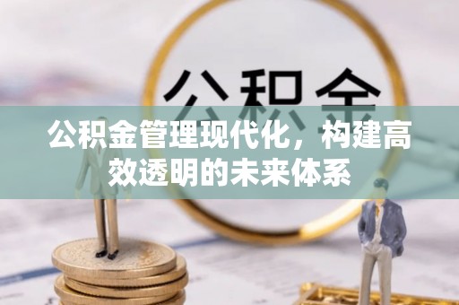 岭东公积金管理现代化，构建高效透明的未来体系