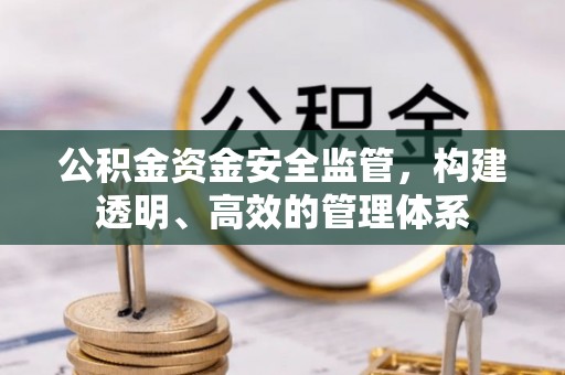 岭东公积金资金安全监管，构建透明、高效的管理体系