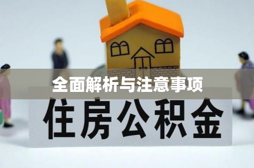 岭东全面解析与注意事项