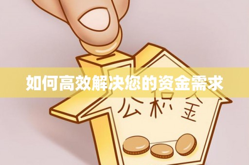 岭东如何高效解决您的资金需求
